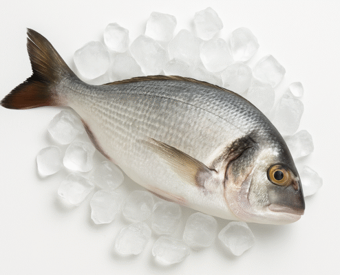 Прясна Риба